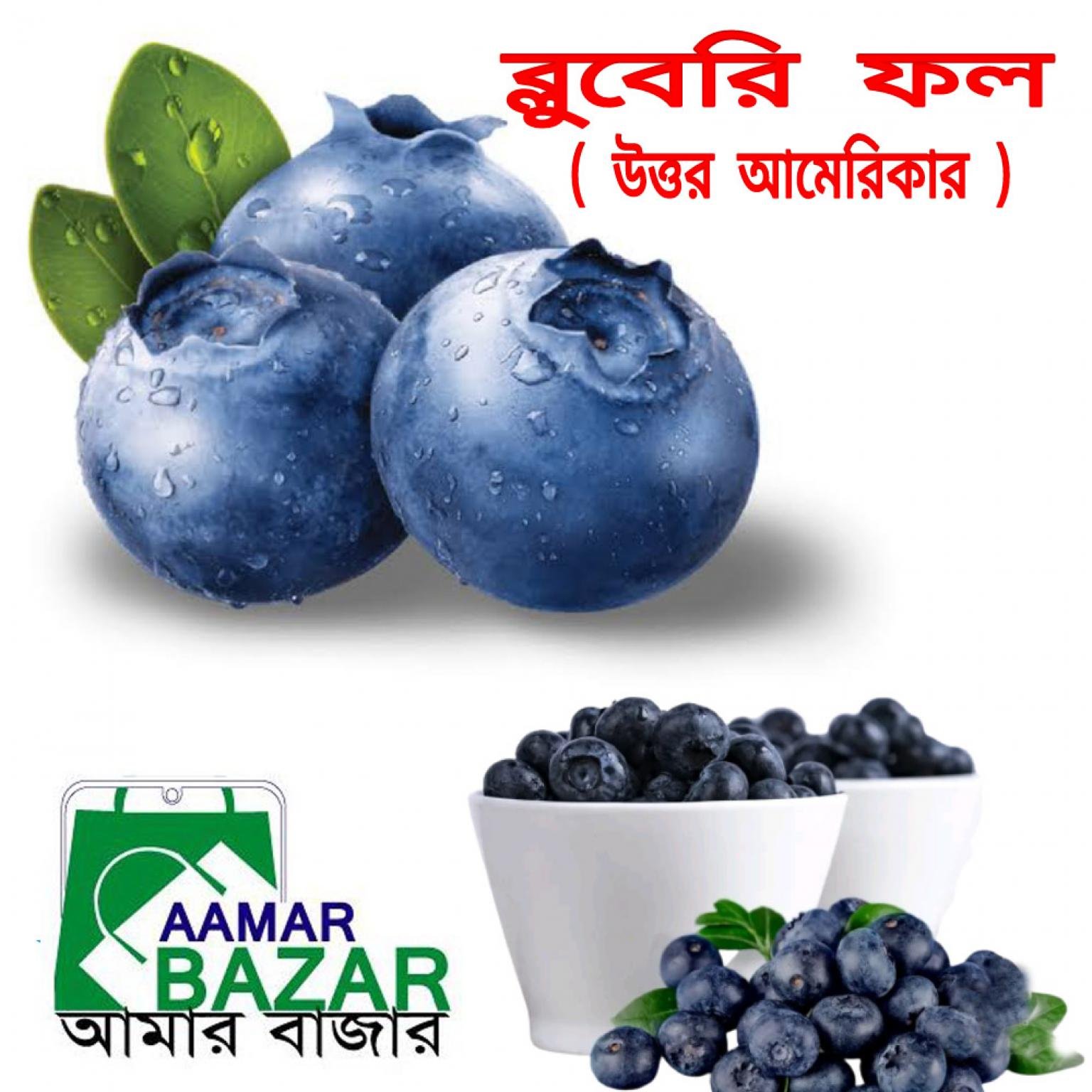 proimg/100207/per-KG1.jpg