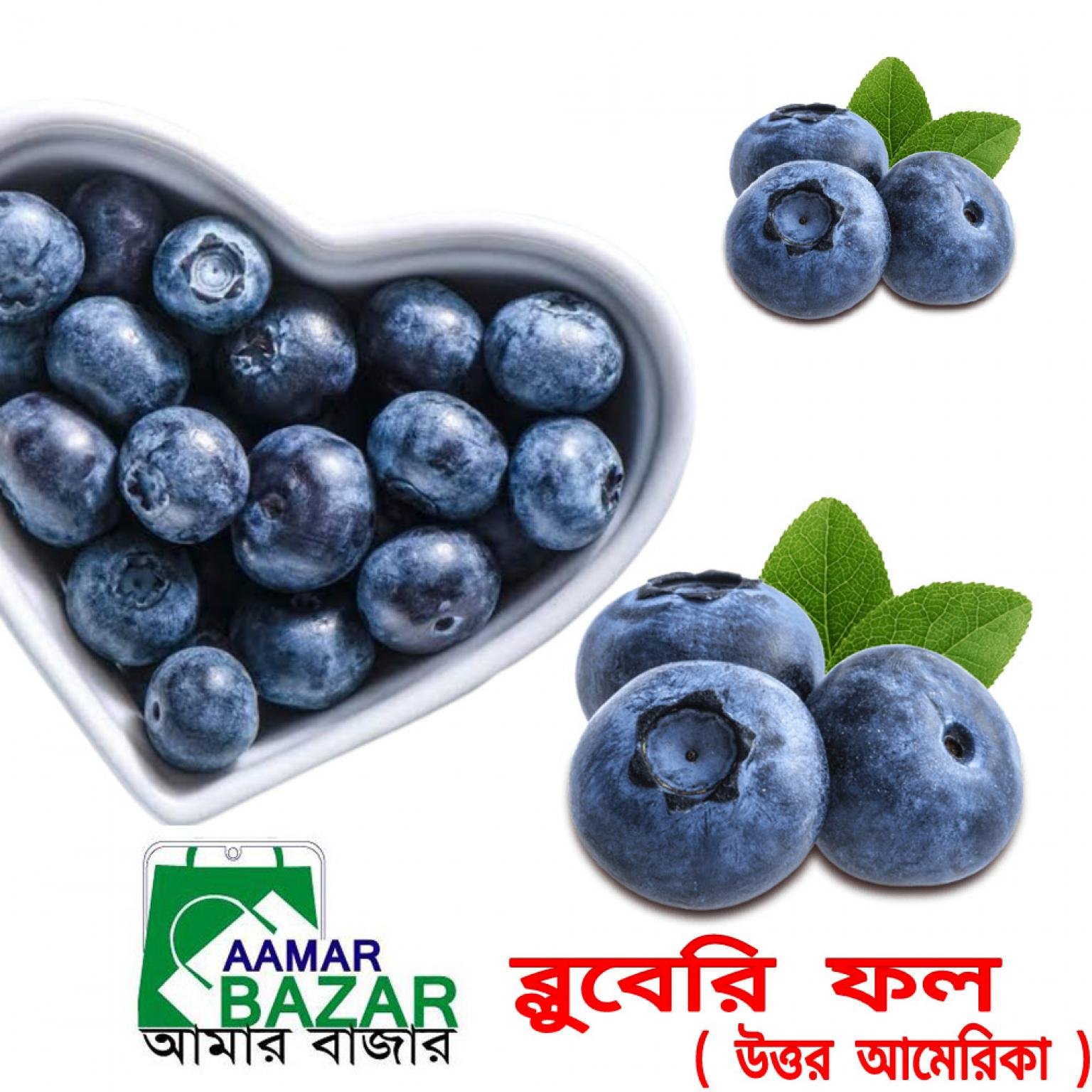 proimg/100207/per-KG2.jpg